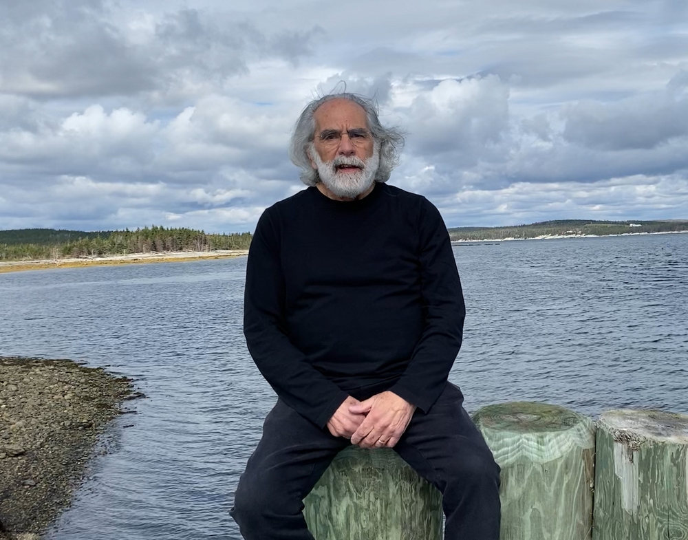 img of 新斯科舍省提议的鲸鱼退休居所完成关键性测试