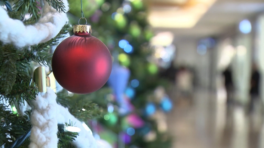 img of 节日期间，不列颠哥伦比亚居民减少开支