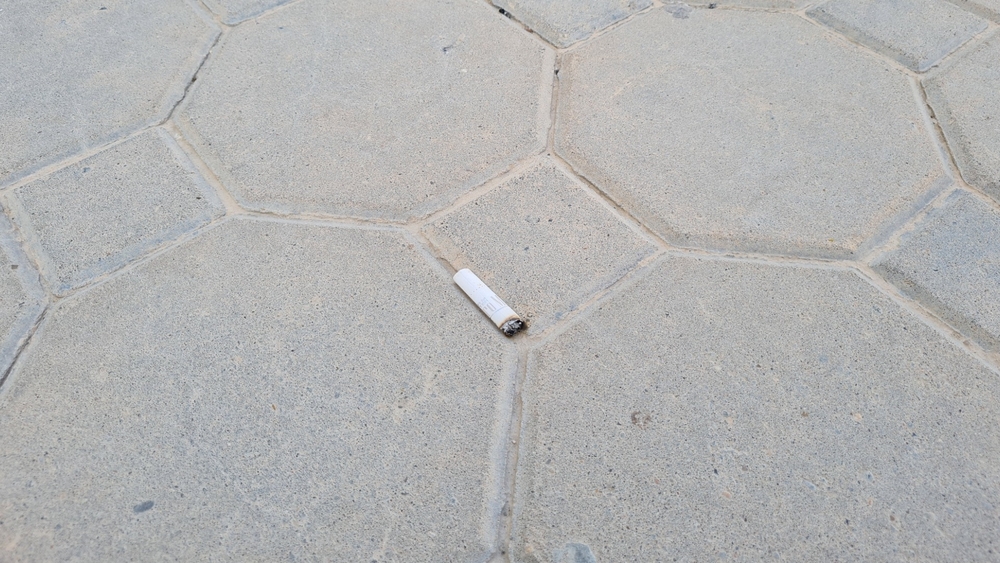 img of 卑诗省公寓业主不需为租户引发邻居单位损失负责