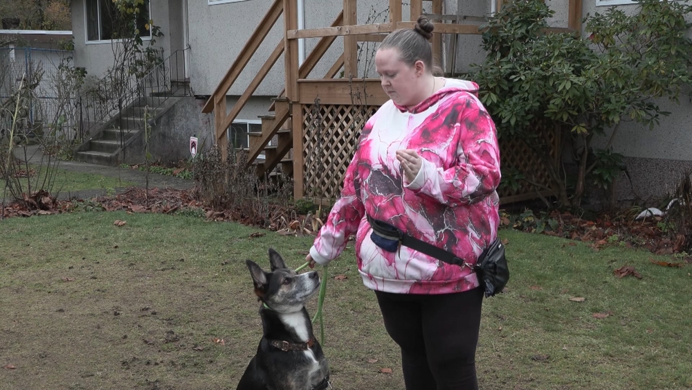 img of 财政紧张导致卑诗省动物收容所里更多的宠物