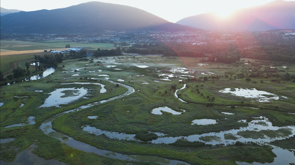img of 水灾启示：专家呼吁回归自然以提高抗洪抗旱能力