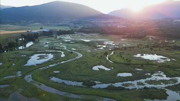 img of 水灾启示：专家呼吁回归自然以提高抗洪抗旱能力