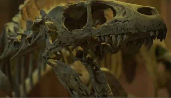 img of 水星大气中发现罕见的磷化合物，或为生命存在提供新线索