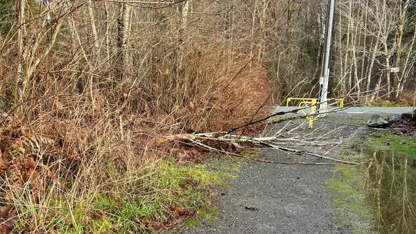 img of 圣诞节风暴导致卑诗省约2.8万户家庭停电