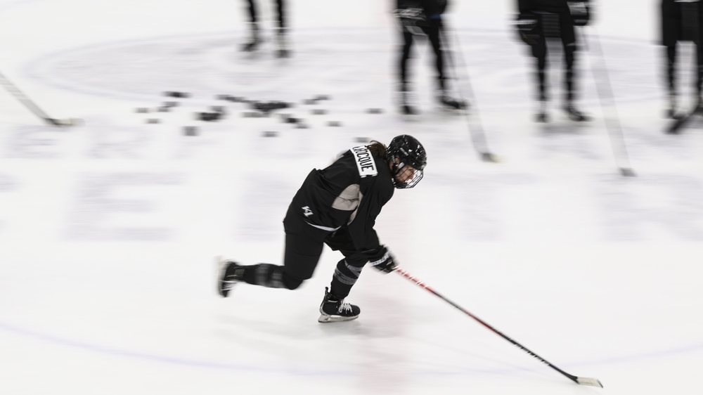 img of 加拿大航空与职业女子冰球联赛签署赞助协议