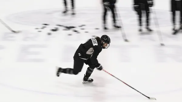 img of 加拿大航空与职业女子冰球联赛签署赞助协议