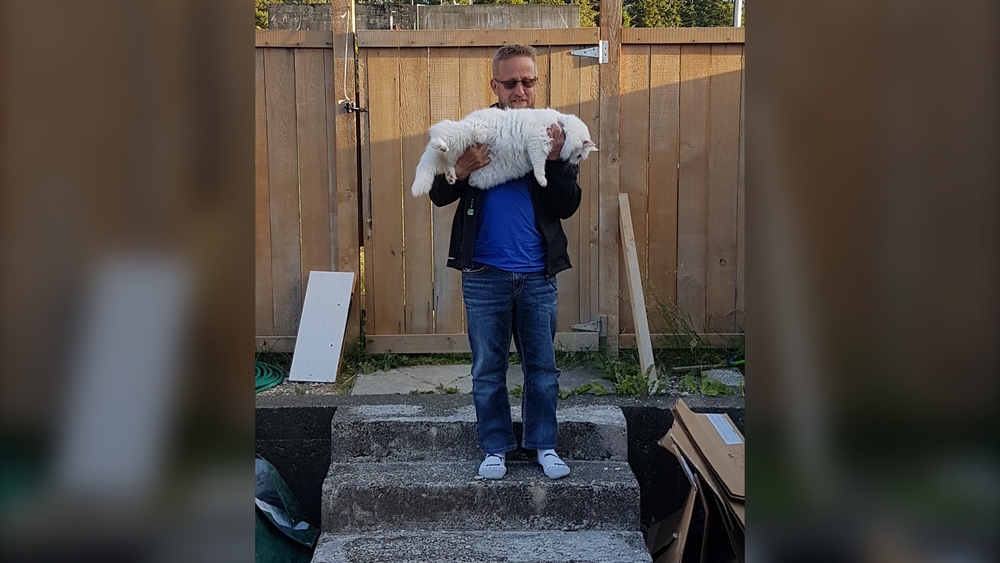 img of B.C.港口麦克尼尔火灾造成3个家庭无家可归，警察因提醒人们而留院