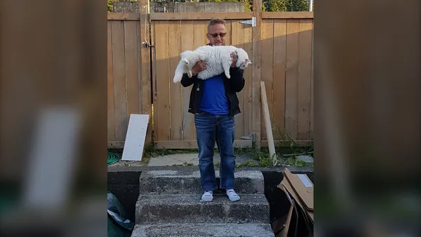 img of B.C.港口麦克尼尔火灾造成3个家庭无家可归，警察因提醒人们而留院