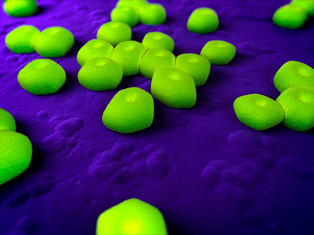 img of 新抗生素使用新方法来对抗致命的耐药细菌，研究称