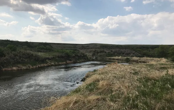img of 研究发现，居住在大自然附近有助于改善老年人的心理和身体健康