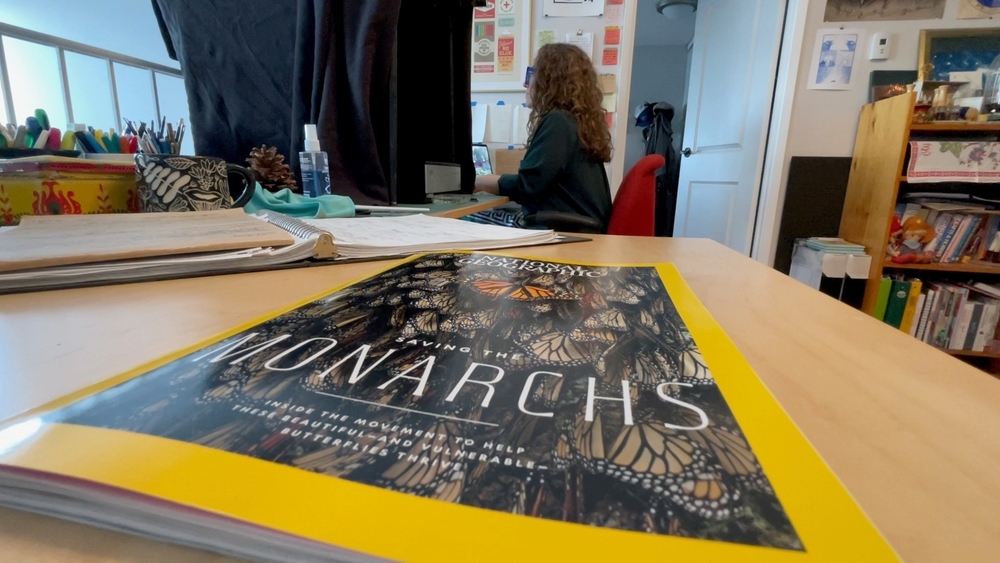 img of 加拿大视觉艺术家Julya Hajnoczky在国家地理杂志上受到推荐